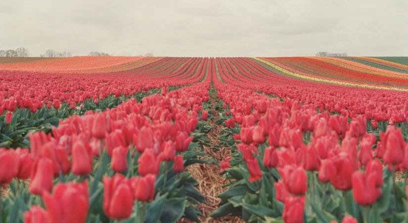 Időjárás 2026. április 4.: Napos, kellemes tavaszi idő