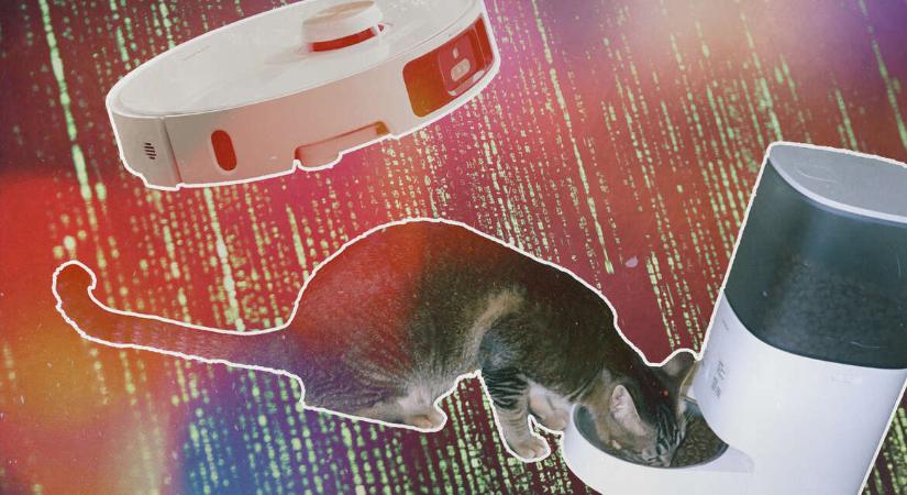 Ha más nincs, robotporszívón és okos macskaetetőn keresztül kommunikálnak online az oroszok