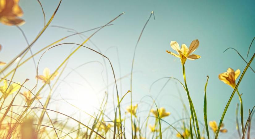 Ez vár ma Veszprémre: napsütés, szél és egy kis csavar