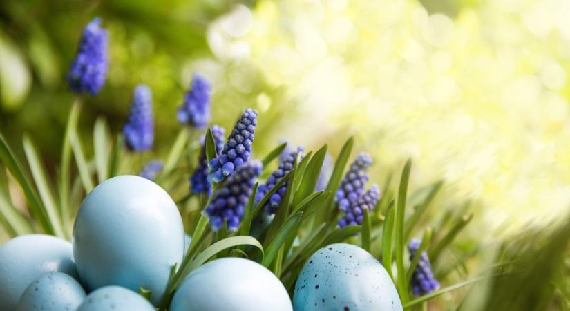 Hétvégi időjárás: meleg, napos húsvéti hétvége érkezik