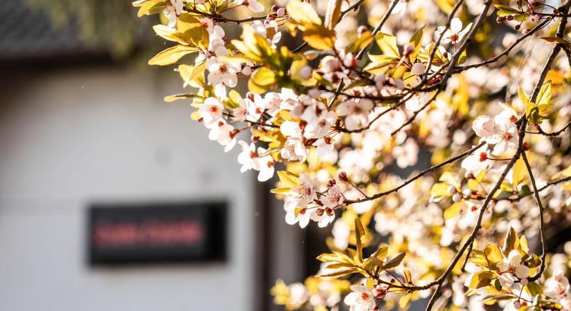 Kellemes indulás, de nem marad nyugodt az időjárás