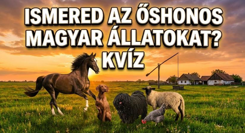 Kvíz: Tudod melyik állat őshonos Magyarországon? Vajon hibátlan lesz az eredményed?