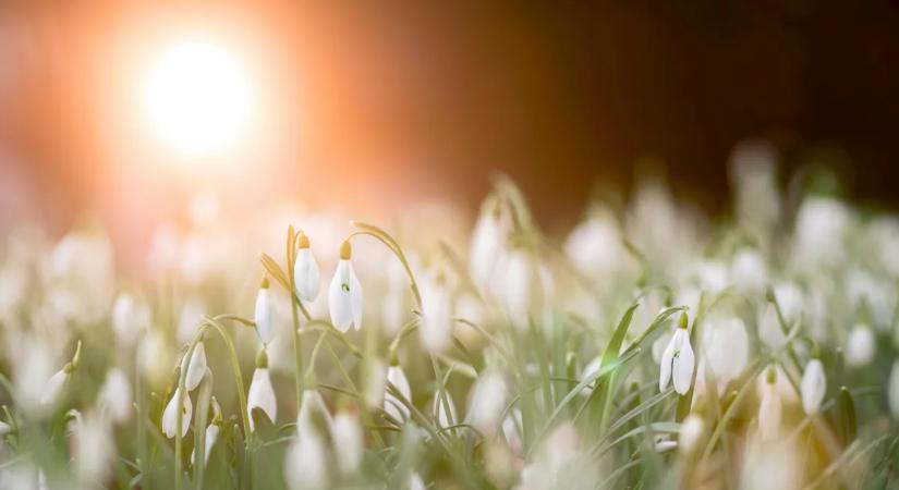 Brutálisan jó idővel robban be a húsvéti hosszú hétvége