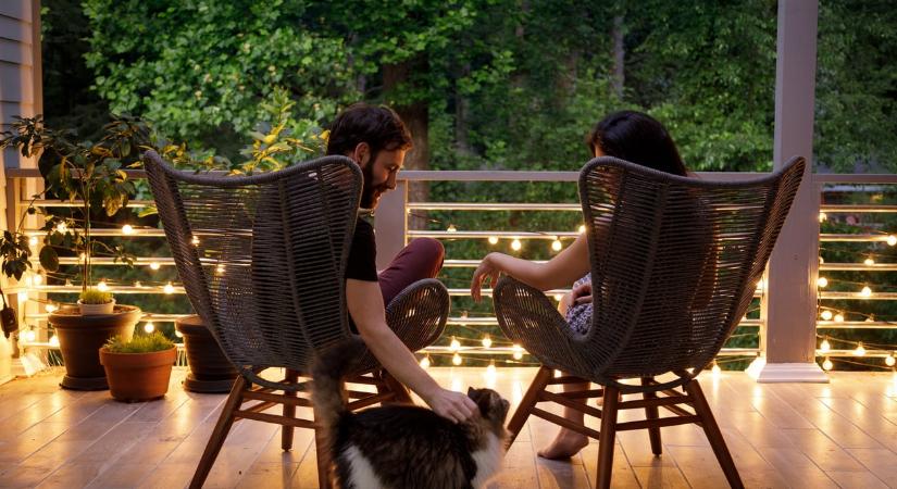 A szomszéd macskája rendszeresen az én kertembe piszkít – így kezelem a kínos helyzetet