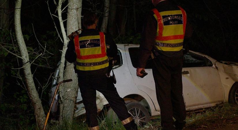 Fának hajtott egy személyautó a 36-os főúton – súlyos sérülésekkel szállítottak kórházba az egyik utast! (fotók)