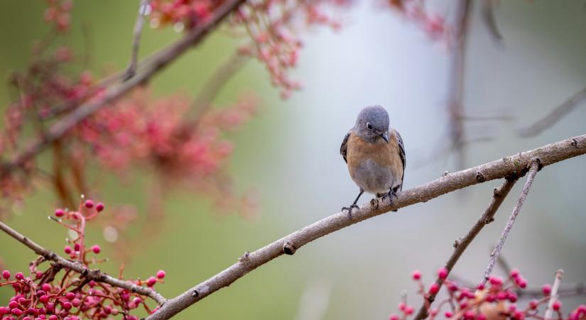 Napi üzenet szombat – 2026. 04. 04.