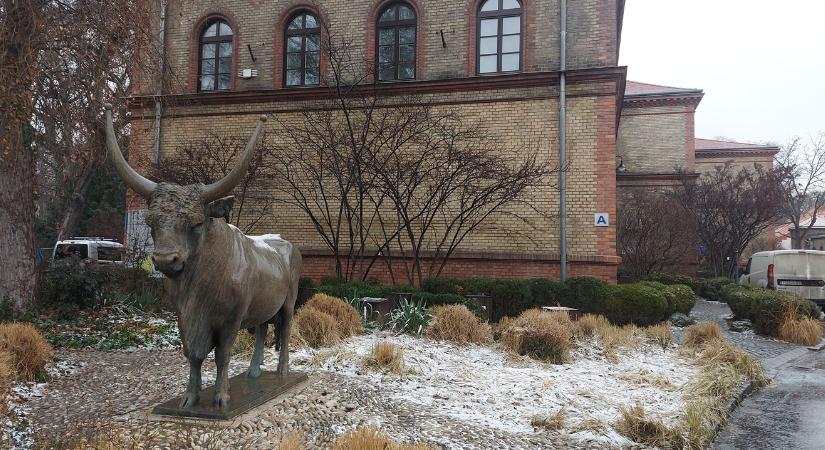 Digitális ugrás az állatorvosképzésben