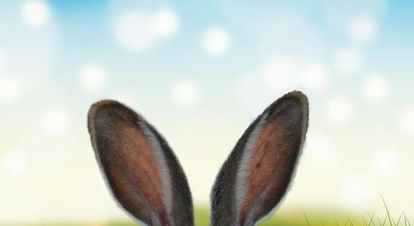 Hogyan kaszálhatnak a vállalkozások húsvétkor?