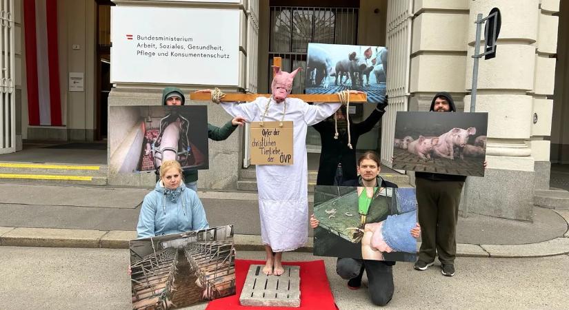Botrány Bécsben: nagypénteki provokációval sokkoltak az állatvédők