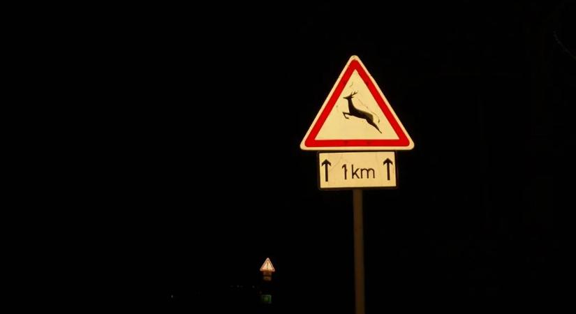 Az erdő szélén ért véget az út, brutálisan összetört egy Suzuki a 36-oson – fotók