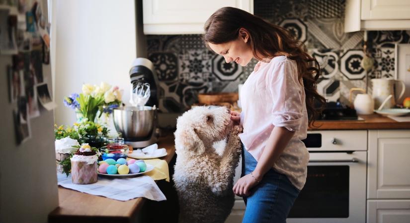 3 csillagjegyeknek igazi újjászületést hoz az ünnep