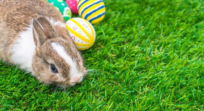 Családi programok a húsvéti hosszú hétvégén