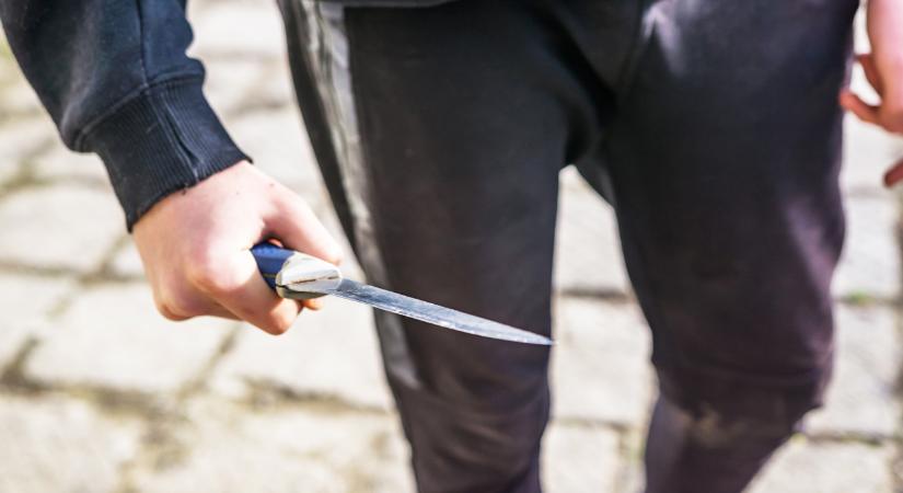 Iskolai mészárlásra készült egy 15 éves budapesti fiú