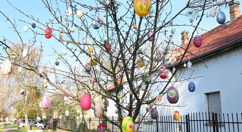 Fogjuk rá a nyuszira! Programkavalkáddal csábít a húsvéti hétvége a Jászkunságban