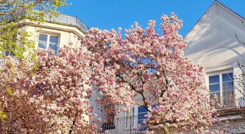 Gyönyörű időnk lesz, de aztán jön egy hidegfront