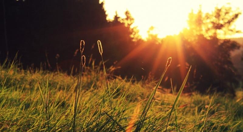 Rég volt ilyen enyhe a március