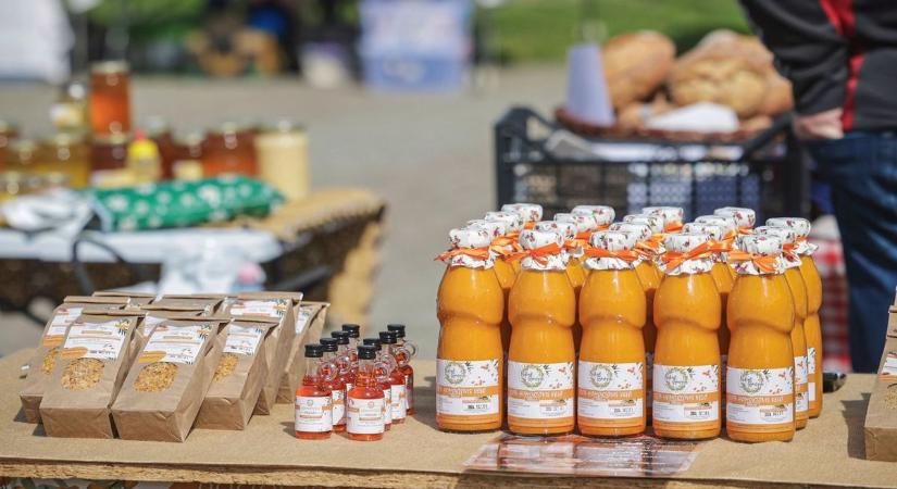 Hatalmas lehetőség a Bükkben: ezt most minden termelőnek látnia kell