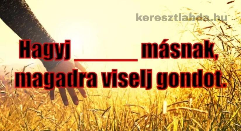Napi közmondás feladat: Hagyj ___ másnak – tudod a hiányzó szót?