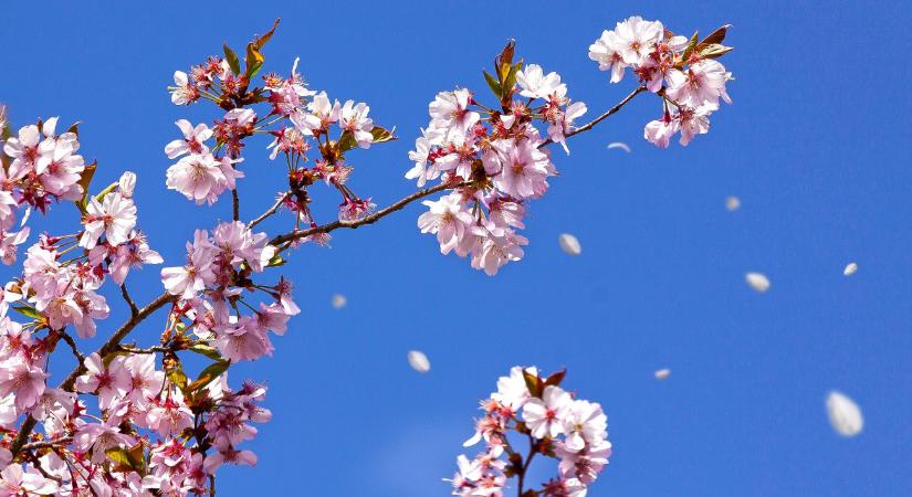 Nem sok ilyen március volt az elmúlt 125 évben