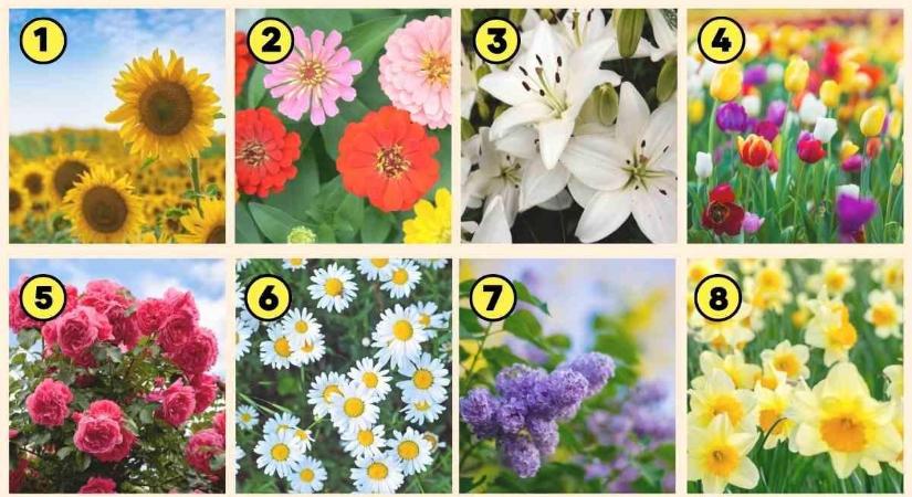 Válassz egy virágot, eláruljuk, mit mond el a személyiségedről