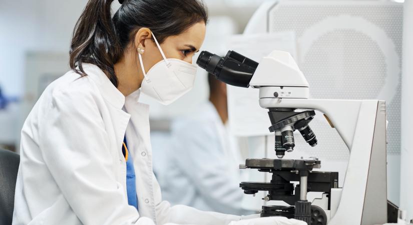 Megállíthatatlanul terjed a pusztító fertőzés, a lakosság segítségére is számít a Nébih