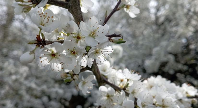 Megjött az előrejelzés - így alakul az idő Zalában szombaton