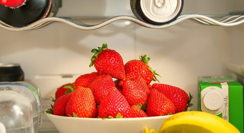 Nébih-útmutató: élelmiszerbiztonság áramszünet idején