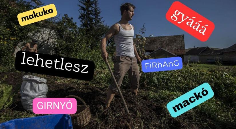 301 szó, amit csak a haladó borsodiak értenek – ezeken a kifejezéseken máshol fixen pislognak