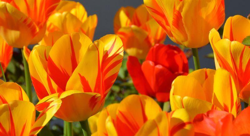 Elfújja a szél a locsolókat, berúgja az ajtót a hidegfront