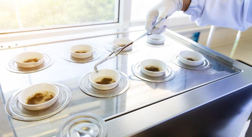 Górcső alatt a miskolci csatornák