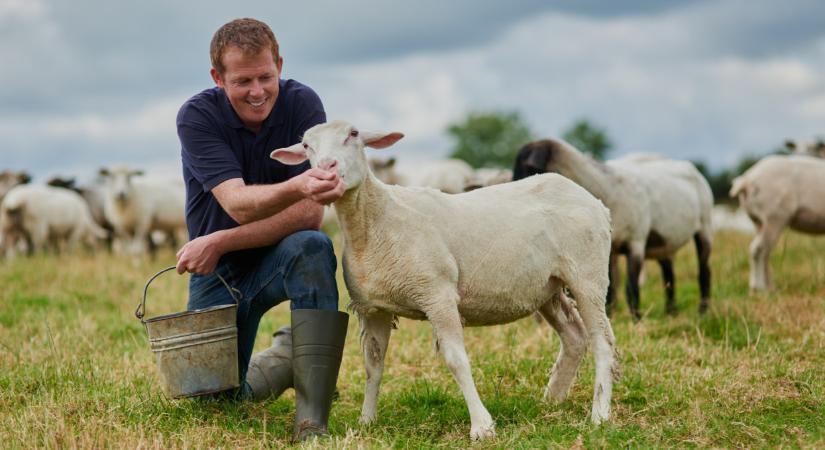 Ezzel az állattal tarol sok magyar gazda: külföldön vagyonokat fizetnek érte
