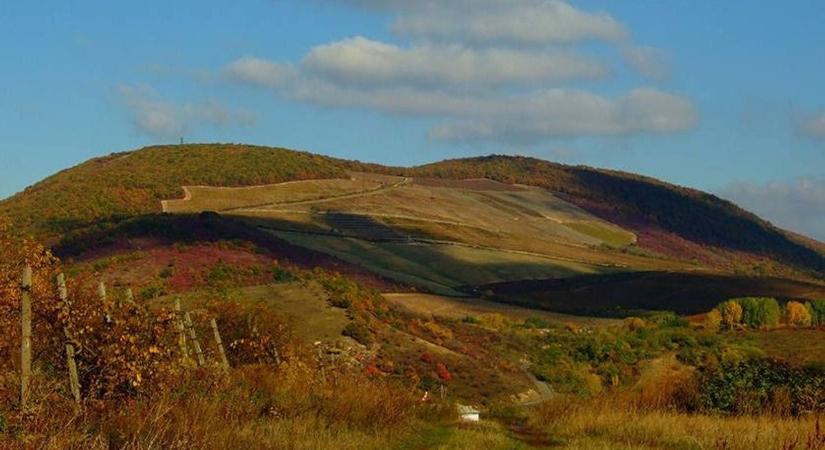 Nem maradt el a segítség: Gyorsan elhárították az útzárat az Eged-hegyen