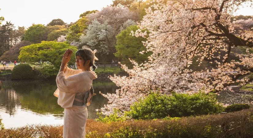 Tokió rejtett csodái: japánkertek a hatalmas metropolisz szívében