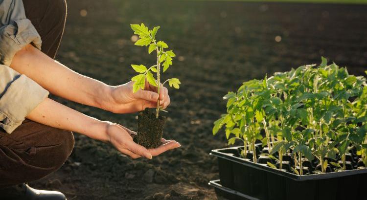Megugrottak az árak az európai hajtatásban