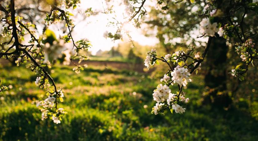 Meteorológia: a nyolcadik legenyhébb volt az idei március 1901 óta