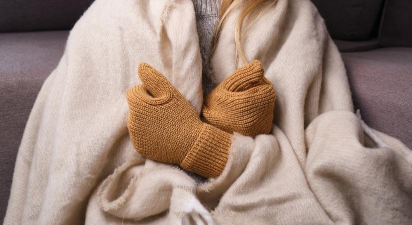 Osztrák politikus: vegyenek fel otthon egy kabátot az emberek!