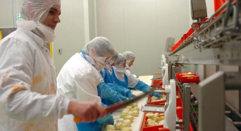 Már tőlünk nyugatabbra sem keresnek annyi embert, romlanak a kilátások