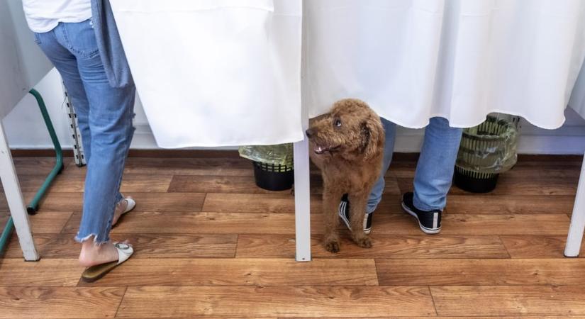 Feloszthatják a szavazóköri névjegyzéket ott, ahol sok az átjelentkezés