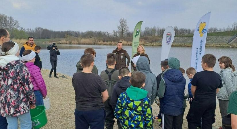 Látványtelepítés a Rábán