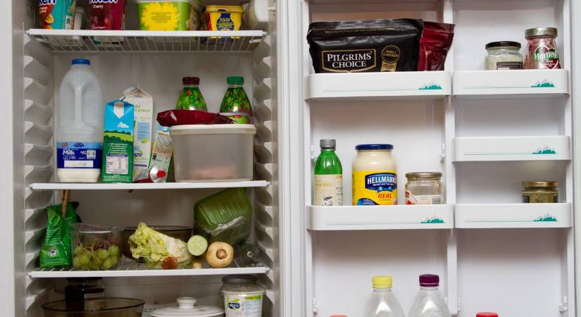 Hűtőtakarításkor sokan hagyják ki ezt a részt: kórokozó-mennyország lehet belőle