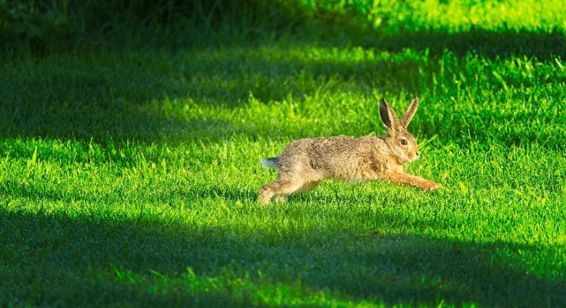 Húsvét után megszakad a melegedés