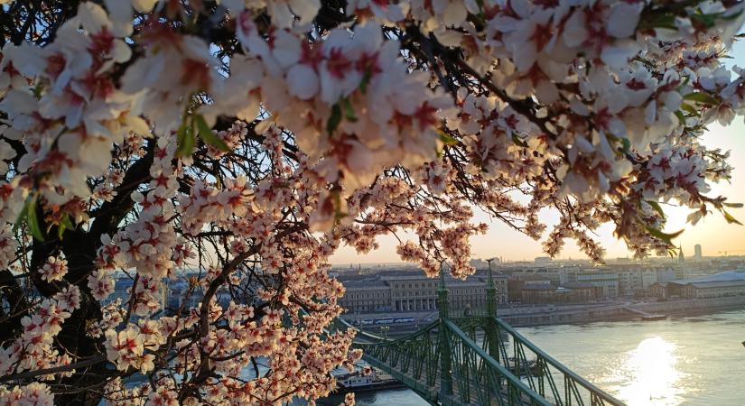 Jócskán az átlag felett alakult az idei március középhőmérséklete