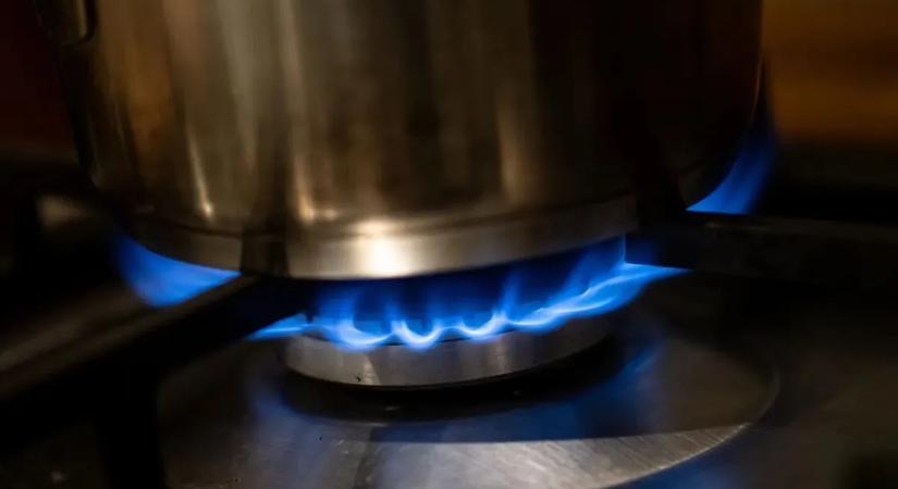 Az Európai Bizottság korábbi baloldali elnöke az orosz gáz visszatérésével számol