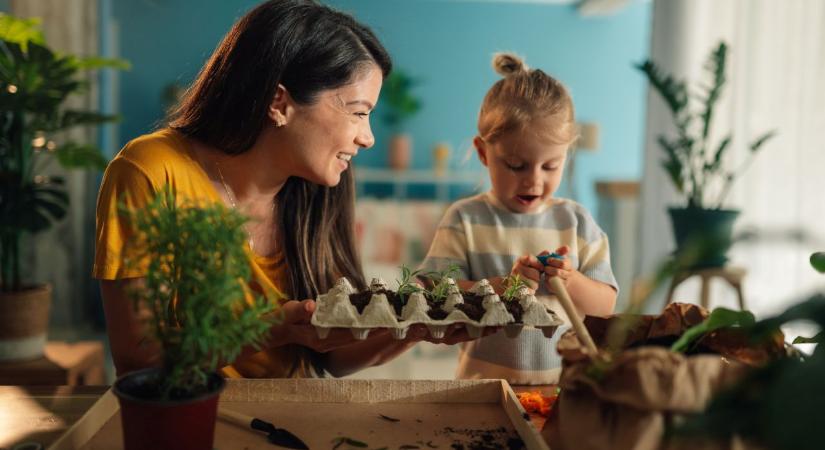 Soha ne dobd ki a tojástartókat: így használd fel őket a lakásban, zseni a trükk