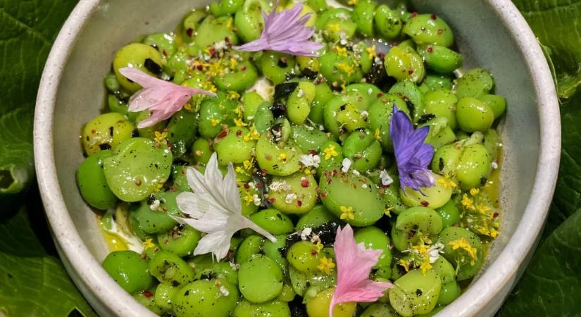 Nem minden menő konyha egyforma – milyen gyakornoknak lenni egy csúcsétteremben?