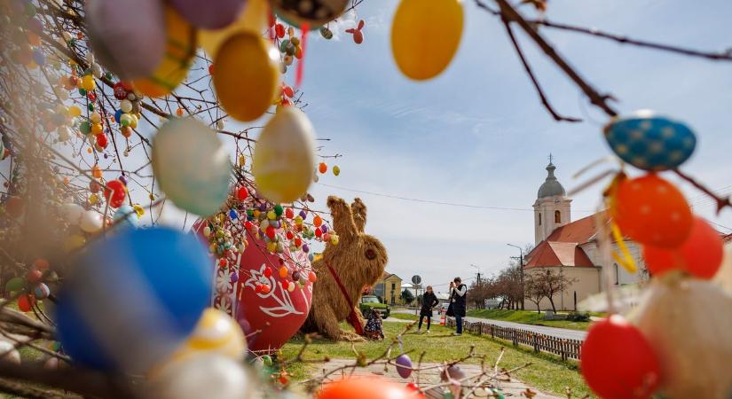 Mennyi? 12 ezer tojás díszíti a fát, ezt mindenképpen látnod kell – fotó