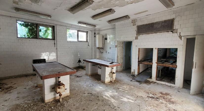 Rémisztő fotók borzolják a kedélyeket: bejutottak a lengyeltóti Zichy-kastély bonctermébe is