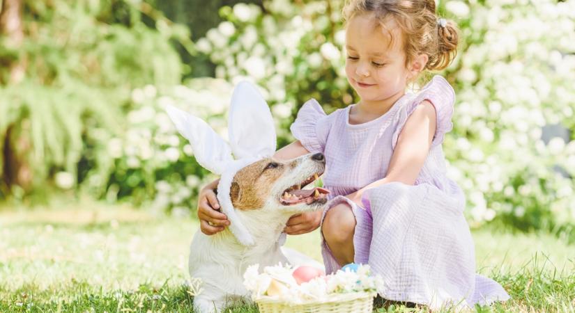 Napos, tavaszias meleg lesz hősvétvasárnap