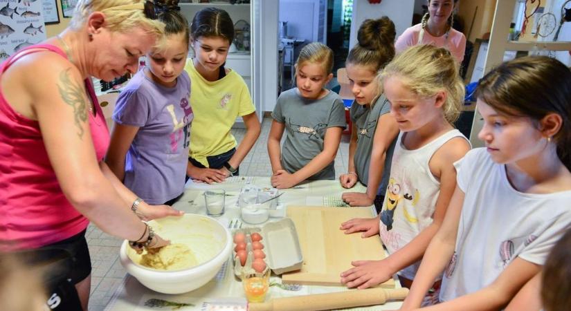Ennyibe kerülnek idén a szegedi nyári táborok, több mint 60 közül lehet választani