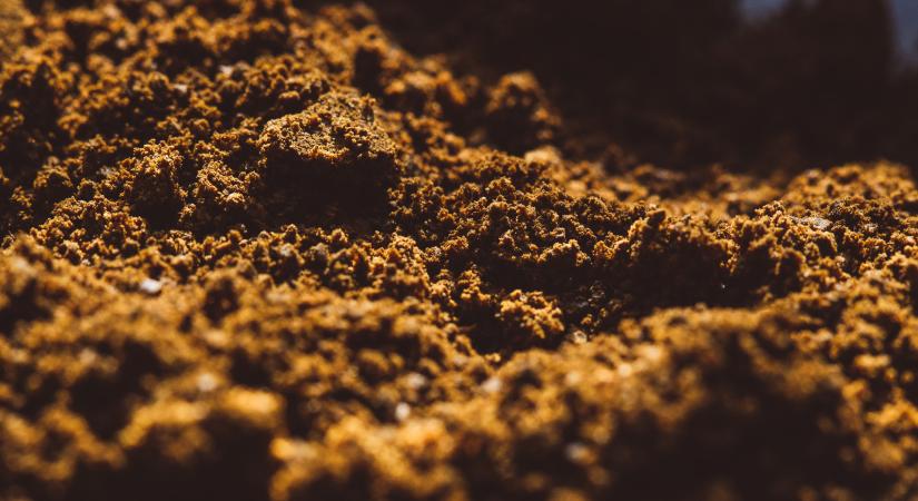 Milyen talajban él jól a kertünk?